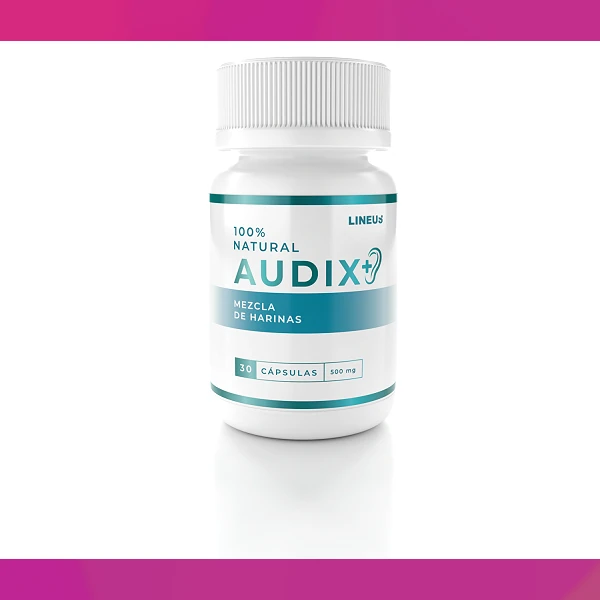 Audix